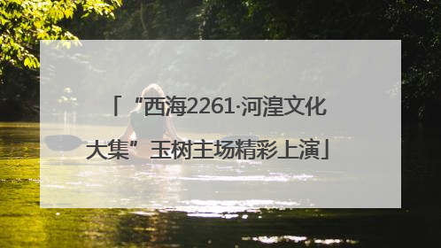 “西海2261·河湟文化大集”玉树主场精彩上演