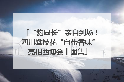 “豹局长”亲自到场！四川攀枝花“自带香味”亮相西博会丨图集