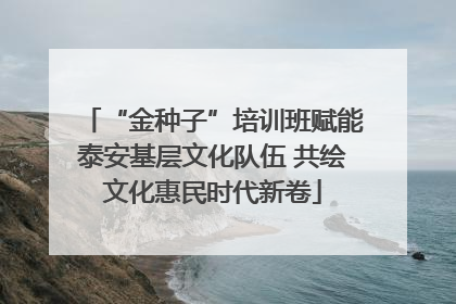 “金种子”培训班赋能泰安基层文化队伍 共绘文化惠民时代新卷