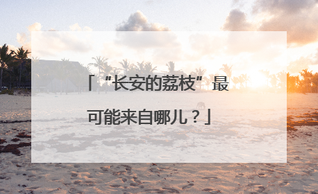 “长安的荔枝”最可能来自哪儿？