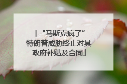 “马斯克疯了” 特朗普威胁终止对其政府补贴及合同