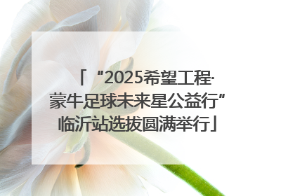 “2025希望工程·蒙牛足球未来星公益行”临沂站选拔圆满举行