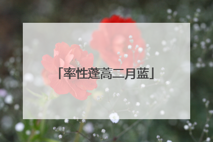 率性蓬蒿二月蓝