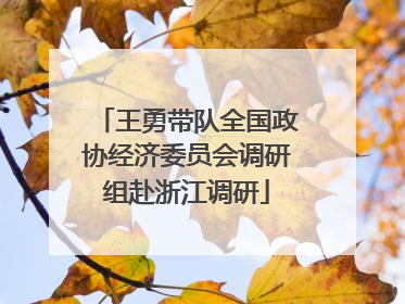 王勇带队全国政协经济委员会调研组赴浙江调研
