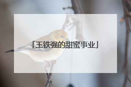王铁强的甜蜜事业