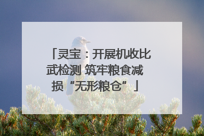 灵宝：开展机收比武检测 筑牢粮食减损“无形粮仓”