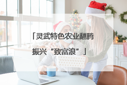 灵武特色农业翻腾振兴“致富浪”