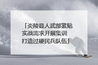 炎陵县人武部紧贴实战需求开展集训 打造过硬民兵队伍