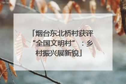 烟台东北桥村获评“全国文明村”：乡村振兴展新貌