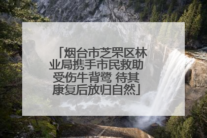 烟台市芝罘区林业局携手市民救助受伤牛背鹭 待其康复后放归自然