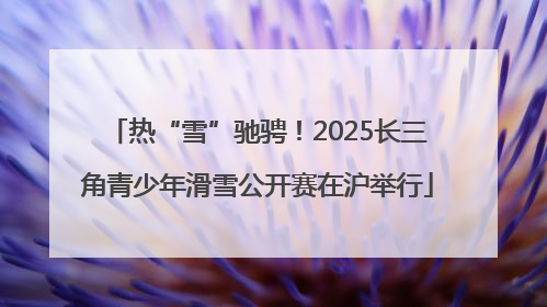 热“雪”驰骋！2025长三角青少年滑雪公开赛在沪举行