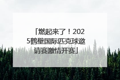 燃起来了！2025鹤壁国际匹克球邀请赛激情开赛