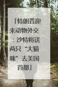 特朗普迎来动物外交：沙特将送两只“大猫咪”去美国首都