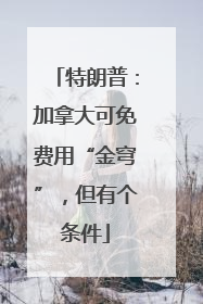 特朗普：加拿大可免费用“金穹”，但有个条件
