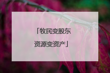 牧民变股东 资源变资产