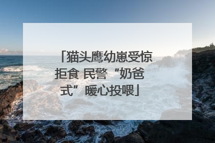 猫头鹰幼崽受惊拒食 民警“奶爸式”暖心投喂