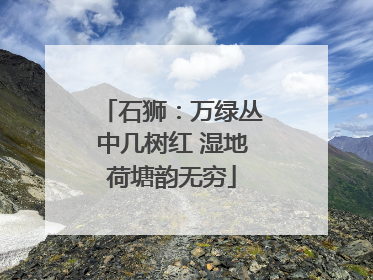 石狮：万绿丛中几树红 湿地荷塘韵无穷