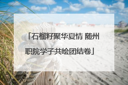 石榴籽聚华夏情 随州职院学子共绘团结卷