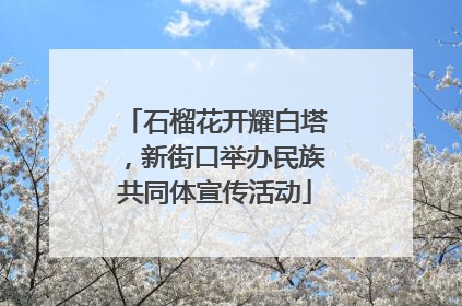 石榴花开耀白塔，新街口举办民族共同体宣传活动
