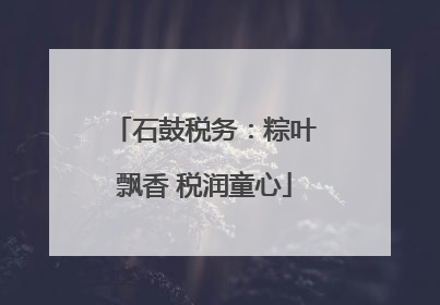 石鼓税务：粽叶飘香 税润童心