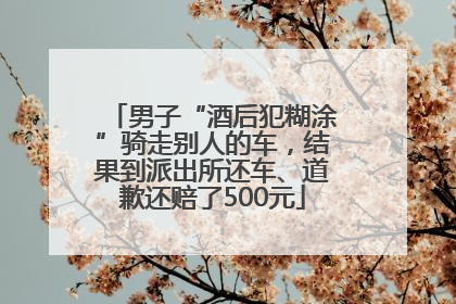男子“酒后犯糊涂”骑走别人的车，结果到派出所还车、道歉还赔了500元