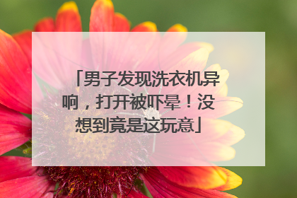 男子发现洗衣机异响，打开被吓晕！没想到竟是这玩意
