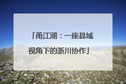 甬江潮：一座县域视角下的浙川协作