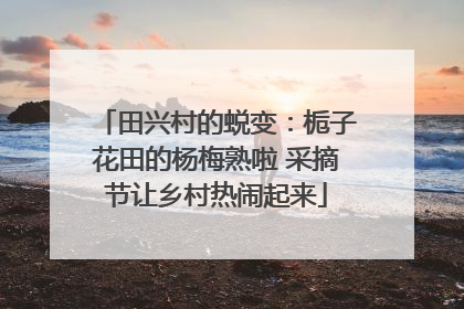 田兴村的蜕变：栀子花田的杨梅熟啦 采摘节让乡村热闹起来