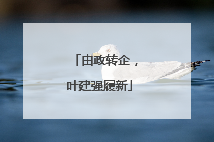 由政转企，叶建强履新