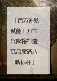 百万补贴赋能！万宁兴隆将打造高品质酒店新标杆