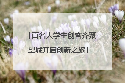 百名大学生创客齐聚望城开启创新之旅