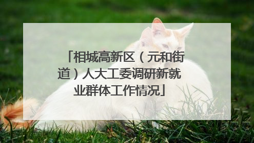 相城高新区（元和街道）人大工委调研新就业群体工作情况