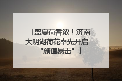 盛夏荷香浓！济南大明湖荷花率先开启“颜值暴击”