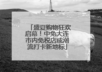 盛夏购物狂欢启幕！中免大连市内免税店成潮流打卡新地标