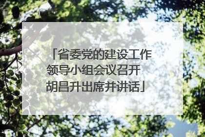 省委党的建设工作领导小组会议召开 胡昌升出席并讲话