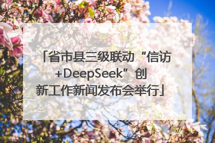 省市县三级联动“信访+DeepSeek”创新工作新闻发布会举行