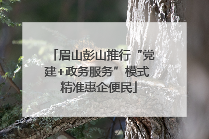 眉山彭山推行“党建+政务服务”模式 精准惠企便民