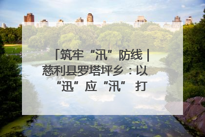 筑牢“汛”防线｜慈利县罗塔坪乡：以“迅”应“汛” 打赢暴雨防御战