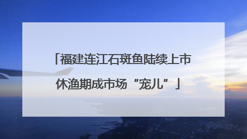 福建连江石斑鱼陆续上市 休渔期成市场“宠儿”