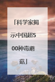 科学家揭示中国超500种毒蘑菇