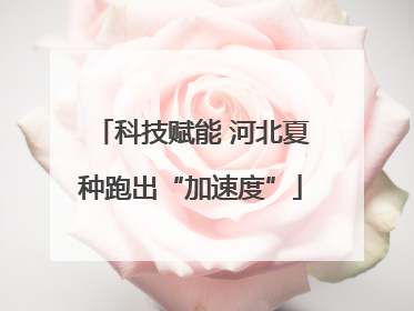 科技赋能 河北夏种跑出“加速度”
