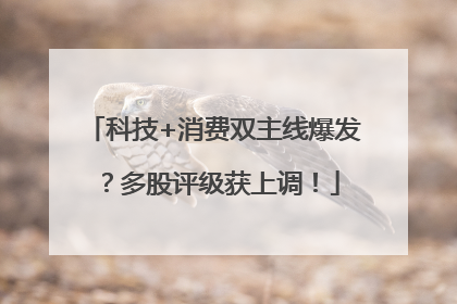 科技+消费双主线爆发？多股评级获上调！