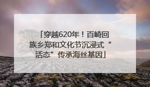 穿越620年！百崎回族乡郑和文化节沉浸式“活态”传承海丝基因