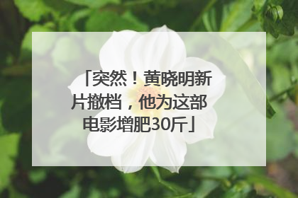 突然！黄晓明新片撤档，他为这部电影增肥30斤