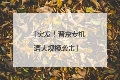 突发！普京专机遭大规模袭击