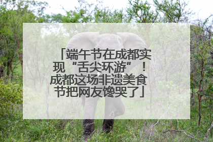 端午节在成都实现“舌尖环游”！成都这场非遗美食节把网友馋哭了