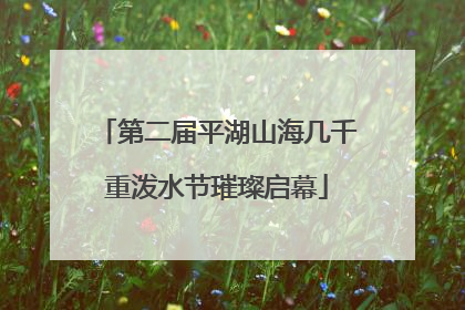 第二届平湖山海几千重泼水节璀璨启幕