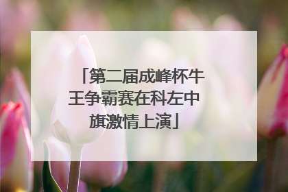 第二届成峰杯牛王争霸赛在科左中旗激情上演