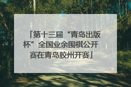 第十三届“青岛出版杯”全国业余围棋公开赛在青岛胶州开赛