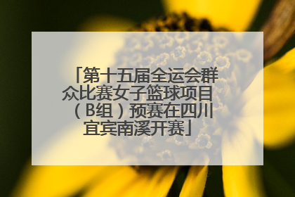 第十五届全运会群众比赛女子篮球项目（B组）预赛在四川宜宾南溪开赛